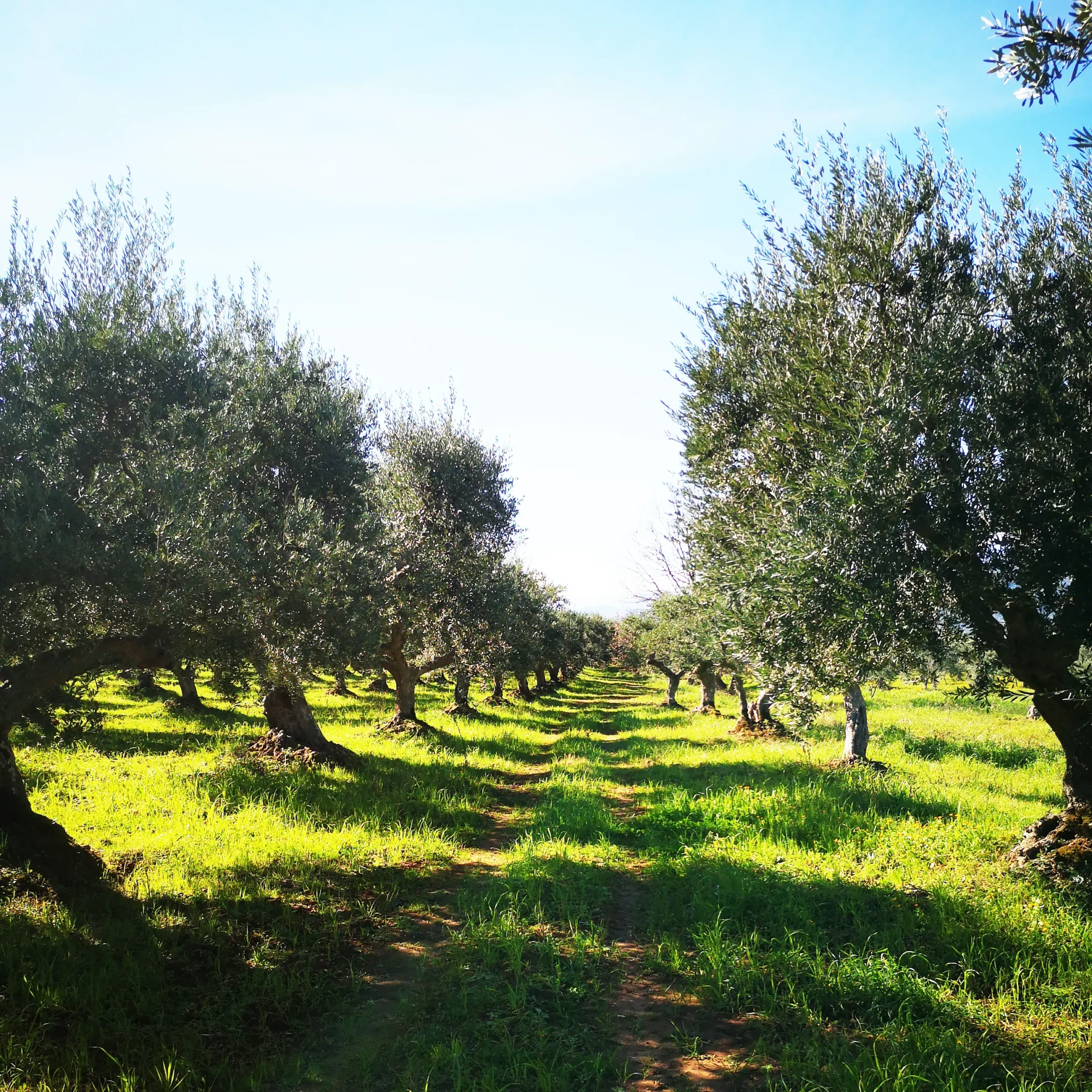 azienda azienda